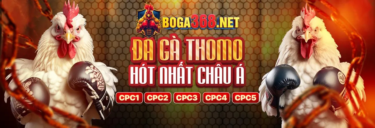 Cá cược có trách nhiệm