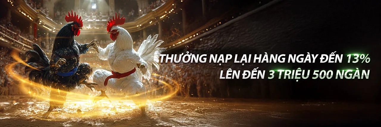 Tin tức cá cược thể thao 888xn